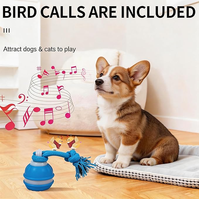 Interactive Dog Toy - Automatic Rolling Ball with Bird Sound, Durable Chew Toy for Small Medium Dogs & Cats, Type-C Rechargeable (Blue)