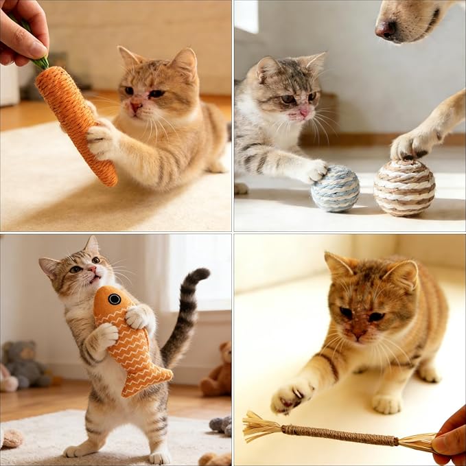 Tipmant Pet Cat Teaser Interactive Toy Kitten Kitty Teeth Molar Kit Contains 1 Catnip Fish, 1 Carrot, 1 Chew Stick, 2 Balls