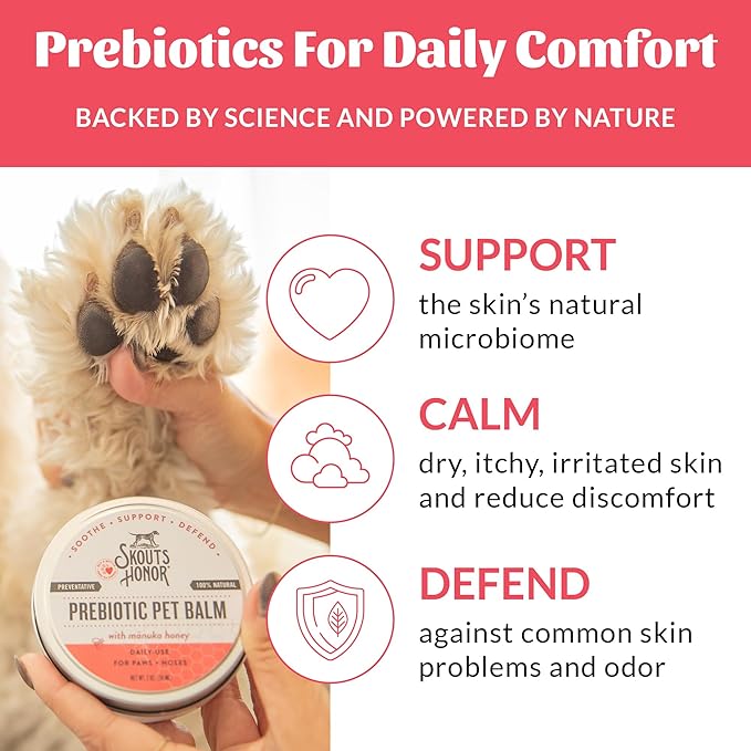 SKOUT'S HONOR Prebiotic Pet Balm - 100% Natural and Made with Manuka Honey to Promote Healing of Your Pet's Paw Pads and Nose, Soothes Dry, Itchy Paws and Noses - Safe for Cats and Dogs, 2oz