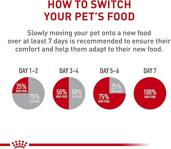 Royal Canin Breed Health Golden Retriever Adult Dry Dog Food, 30 lb Bag Breed Health Golden Retriever Loaf in Sauce Canned Dog Food, 13.5 oz can (12-Count)