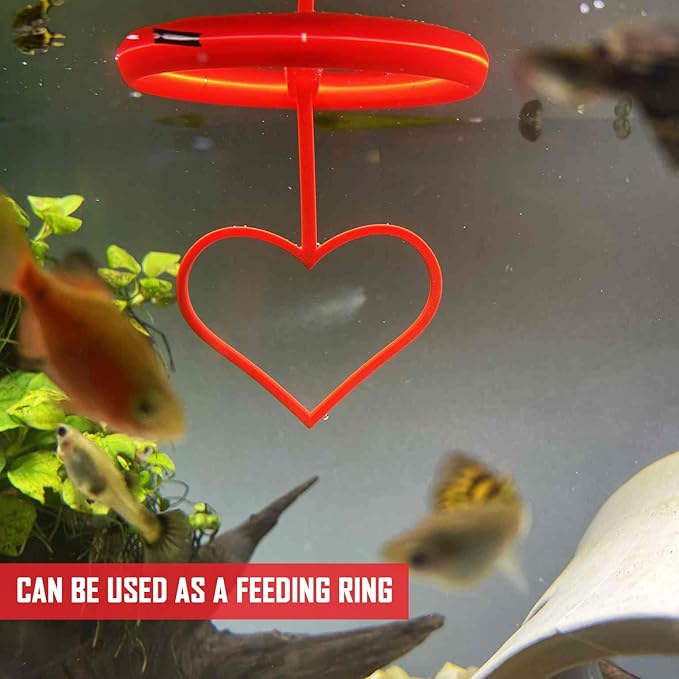 Floating Heart Betta Training Ring, Heart Active Betta Training Ring, Floating Feeder, Enrichment Toys for Aquarium Decor, Pink, 3.8in x 3.7in (Red, Pack of 2)