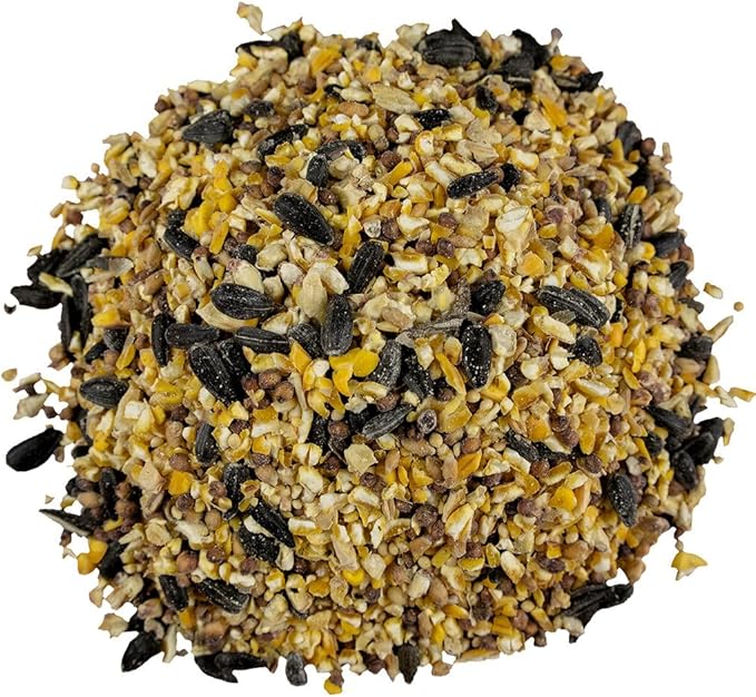 Bird Pro Classic Bird Seed (40 Pounds, Everyday Economy)