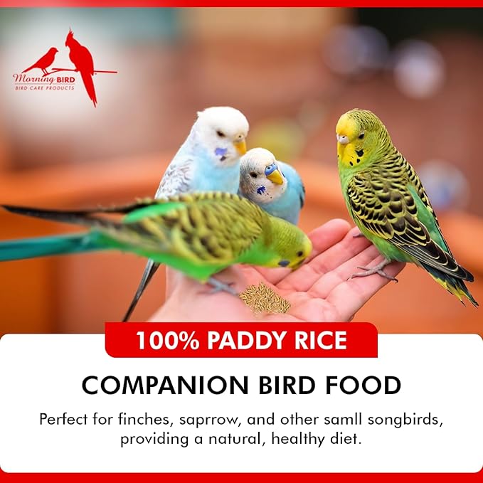 Morning Bird Paddy Rice 4.5 lbs (3-Pack, 1.5 lbs Each) Bird Seed – Nutritious Food with Natural Vitamins & Minerals – High Fiber – Supports Feather Health & Immunity – Ideal for Seed-Eating Birds