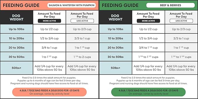 The Pets Table Grain Free Air Dried Dog Food 2 Pack - Beef & Berries + Salmon & Whitefish, 16 Ounce (Pack of 2)