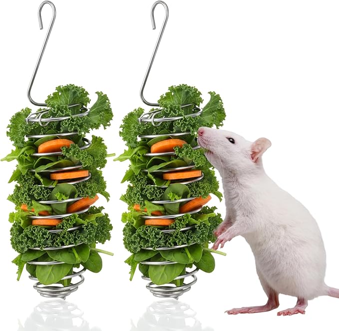 2 PCS Rat Enrichment Toys, Bird Cage Food Holder, 304 Stainless Steel Rat Foraging Toy for Fruit Vegetable Holder, Bird Cage Feeder Foraging Toy for Parakeet, Hanging Rodent Toys Slow Feeder