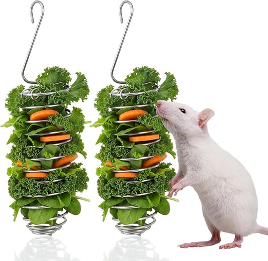 2 PCS Rat Enrichment Toys, Bird Cage Food Holder, 304 Stainless Steel Rat Foraging Toy for Fruit Vegetable Holder, Bird Cage Feeder Foraging Toy for Parakeet, Hanging Rodent Toys Slow Feeder