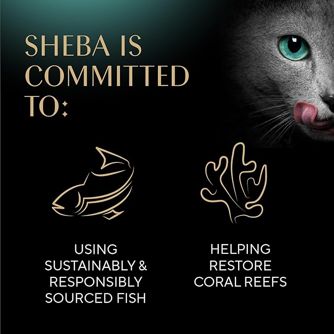 Sheba Perfect Portions Wet Cat Food Cuts in Gravy, Cat Food Wet Recipe, Roasted Chicken Entree and Turkey Entree, Variety Pack, Twin-Pack Trays (12 Count, 24 Servings)