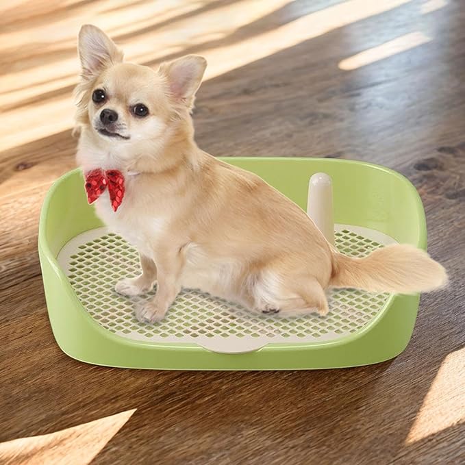 Litter Tray Pet Kitten Toilet Training Potty Pet Litter Pan Portable Design Anti Splashing Function Suitable for Small Animal Indoor Outdoor, Green 48x37x13cm