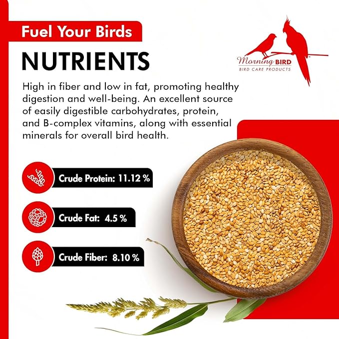 Morning Bird Golden German Millet 9 lbs – Natural Millet Seed for Birds – Natural Protein & Fiber Source – Easy-to-Digest Daily Nutrition for All Bird Types