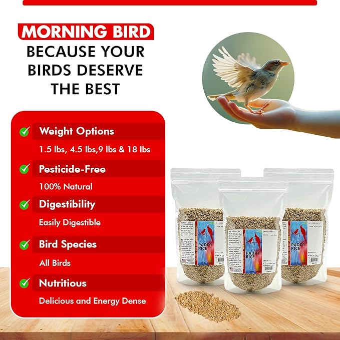 Morning Bird Paddy Rice 4.5 lbs (3-Pack, 1.5 lbs Each) Bird Seed – Nutritious Food with Natural Vitamins & Minerals – High Fiber – Supports Feather Health & Immunity – Ideal for Seed-Eating Birds