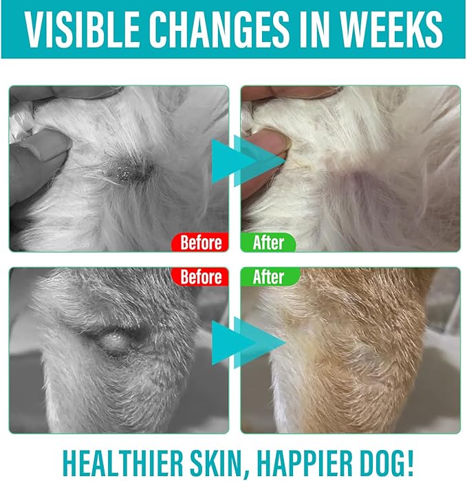 Lipoma Treatment for Dogs Cats - Lipoma Treatment Targets Guard for Dogs Lumps and Bumps, Castor Oil with Reishi & Turkey Tail Mushrooms to Lipoma Reduction & Boost Immune Health, 60ML