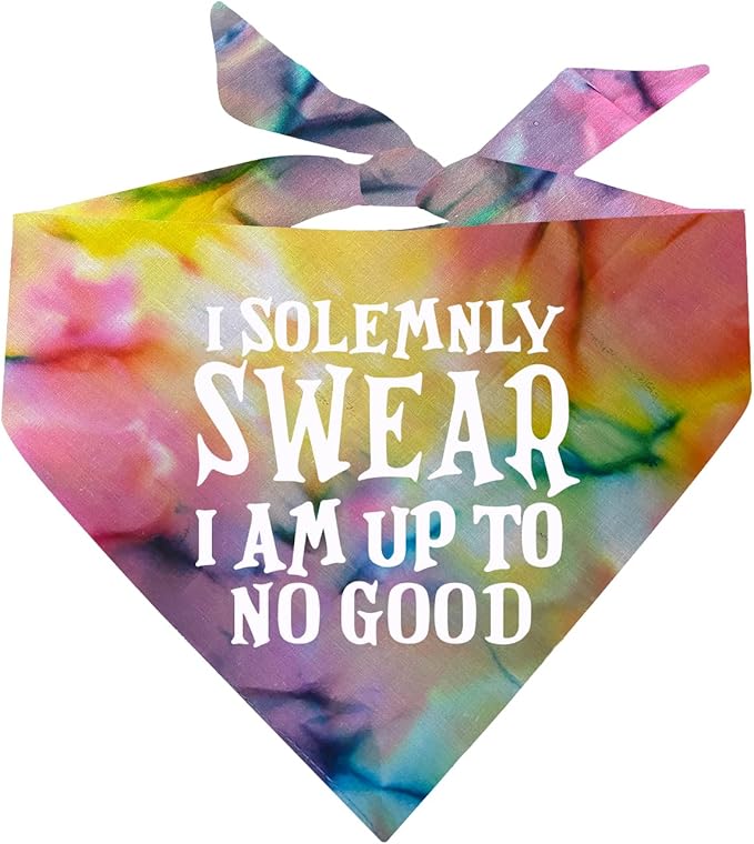 I Solemnly Swear I Am Up to No Good Dog Bandana (Rainbow Scrunch, OS 1101)
