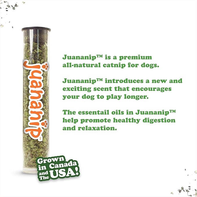 Doggijuana Tuffer Chewer Mini Plush Dog Toy | Funny Dog Toy Plush with Juananip Catnip for Dogs | Calming Aid for Dogs | Interactive Squeaky Chew Toy for Play (Chicken Wing)