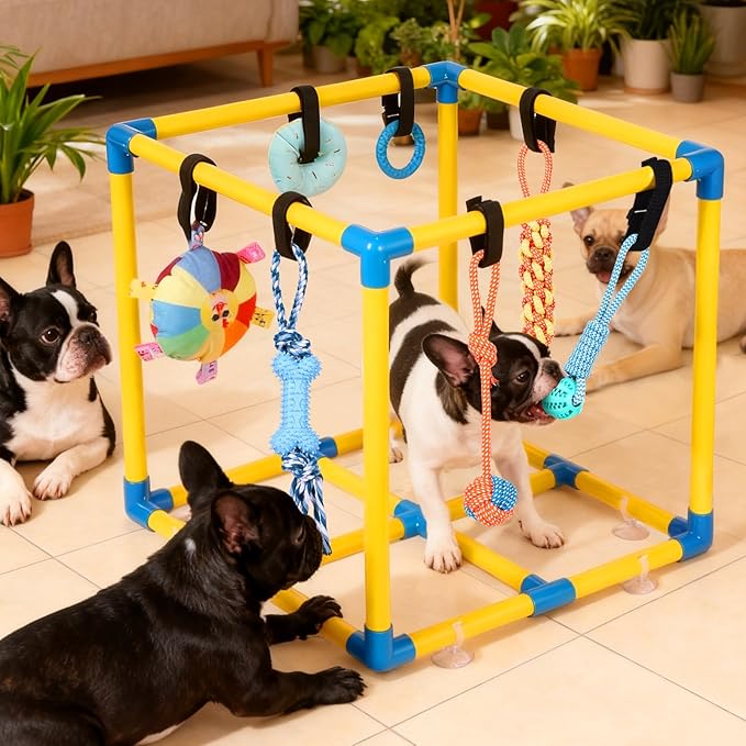 WLLEYAY Puppy Play Gym for Small Dogs with 10 Hanging Toys, Removable Indoor Jungle Gym, PVC Frame with Adjustable Bungee Straps, Interactive Dog Toys Tug Toys for Dogs Rope Toy to Keep Them Busy