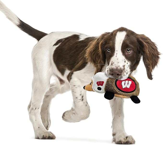 NCAA Wisconsin Badgers Plush Hedgehog Toy for Dogs & Cats, Cool Soft Pet Toy for Fun and Interactive Play, Dog Chew Toy with Squeaker, Licensed Hot Pet Toy