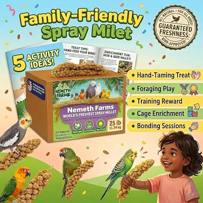 Nemeth Farms Spray Millet - Edible Tops Only, Non-GMO and Sun-Dried - 25 lbs Bulk for Parakeets, Cockatiels and Parrots