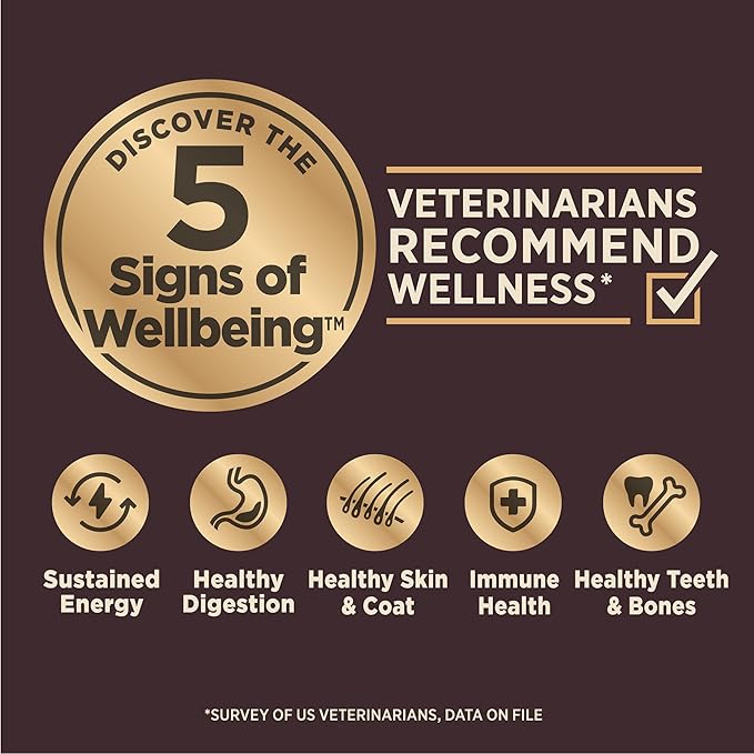 Wellness CORE Digestive Health Puppy Dry Dog Food, Wholesome Grain Kibble, Sensitive Stomach, Natural, High Protein, Chicken and Brown Rice Recipe, 4 lb Bag