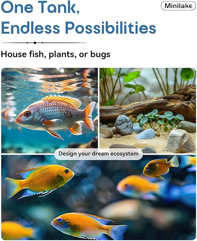 Glass Fish Tank Kit, 2.5 Gallon Betta Fish Tank Aquarium Starter Kit with Filter, Lights, Lid, for Betta, Goldfish, Small Fish or shrimg, Black