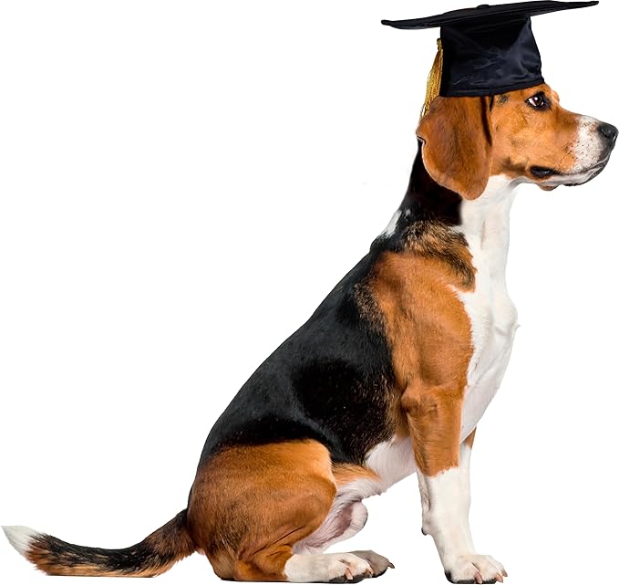 Rubies Graduate Pet Hat for Dogs or Cats, S/M