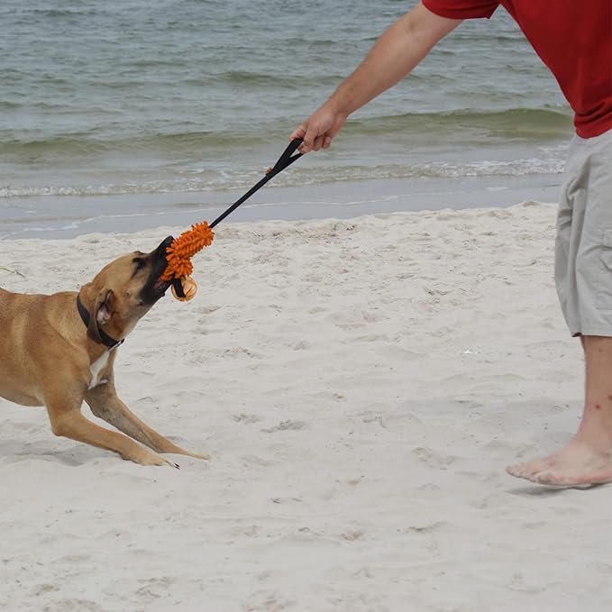 Dingo tug Toy for Dog, for Outdoor Indoor Play and tug of war, Bungee Handle, Soft Shaggy Nubby Like Plush Noodle and TPR Rubber Ball, Orange 15586