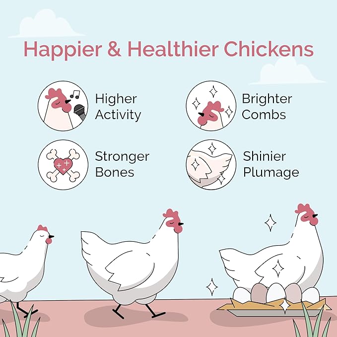 Mile Four Organic 16 Protein MASH Layer Chicken and Duck Feed, 23-LB Bag
