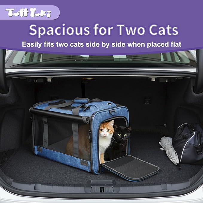 Pet Carrier (Blue1)
