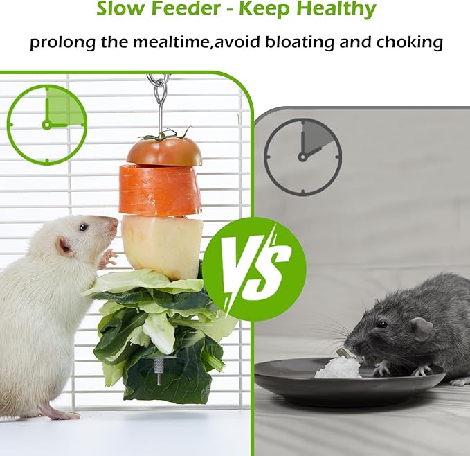 2Pcs Rat Enrichment Toys Set - Stainless Steel Fruit/Veg Holder & Treat Dispenser, Interactive Foraging Puzzle Toys for Rats/Mice/Birds, Cage Accessories with Hanging Feeder & Intelligence Game