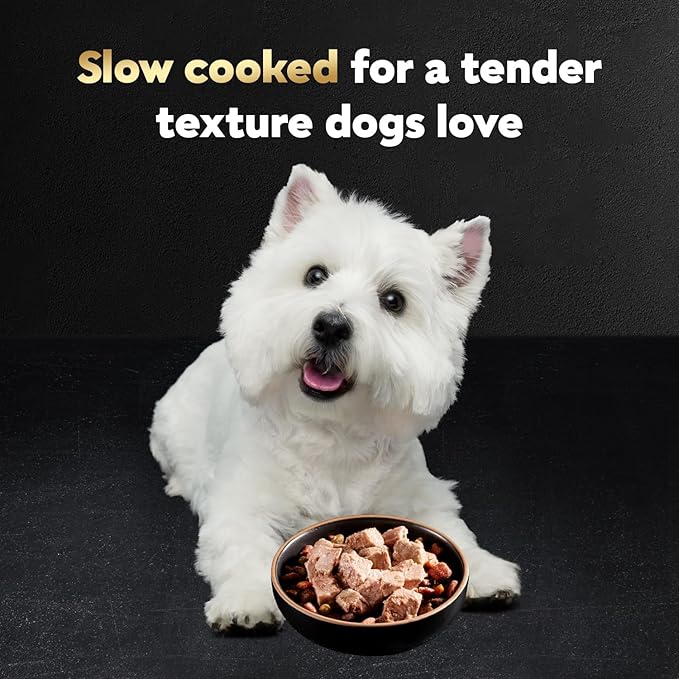 Cesar Classic Loaf in Sauce Adult Wet Dog Food Filet Mignon Flavor, Wet Food for Dogs, 3.5 oz Easy Peel Trays, 24 Count (Pack of 2)