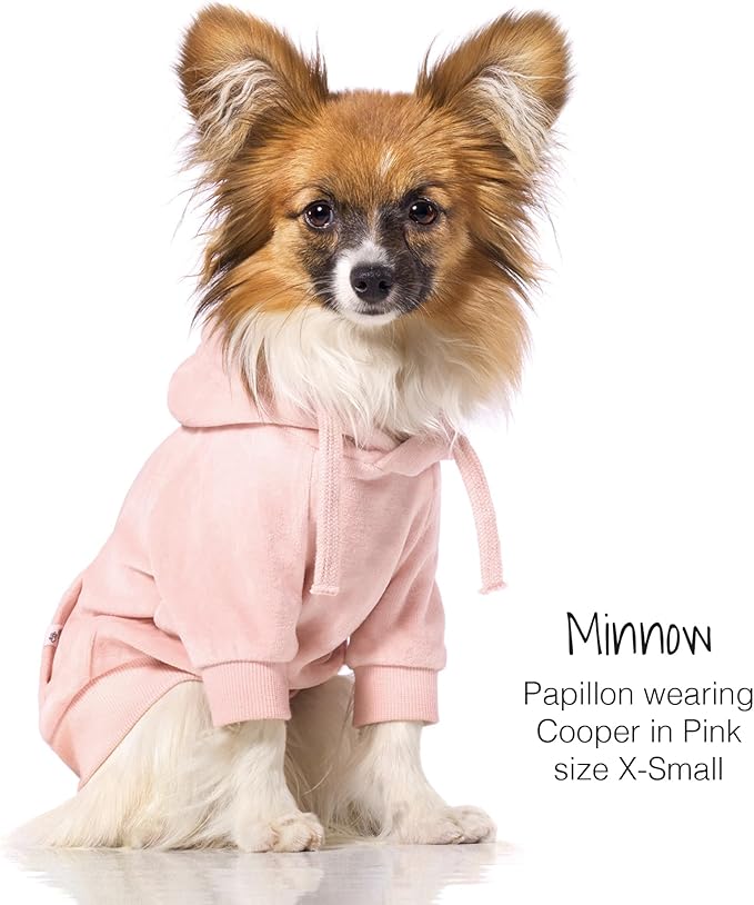 Pet Passion Cooper II Organic Cotton Velour Dog Hoodie Pet Coat for Small, Medium and Large Dogs, Pink, Medium