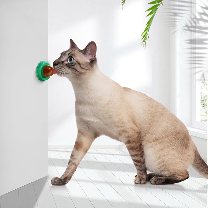 POPETPOP Cat Candy Snacks 5-Pack Lickable Catnip Treat Balls for Cats - Indoor Wall-Mounted Catnip Lollipops Promoting Hydration Urinary & Oral Health - Random Flavors