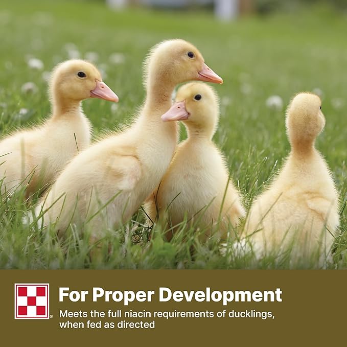 Purina | Nutritionally Complete Duck Feed for All Life-Stages | 4.5 Pound (4.5 LB) Bag