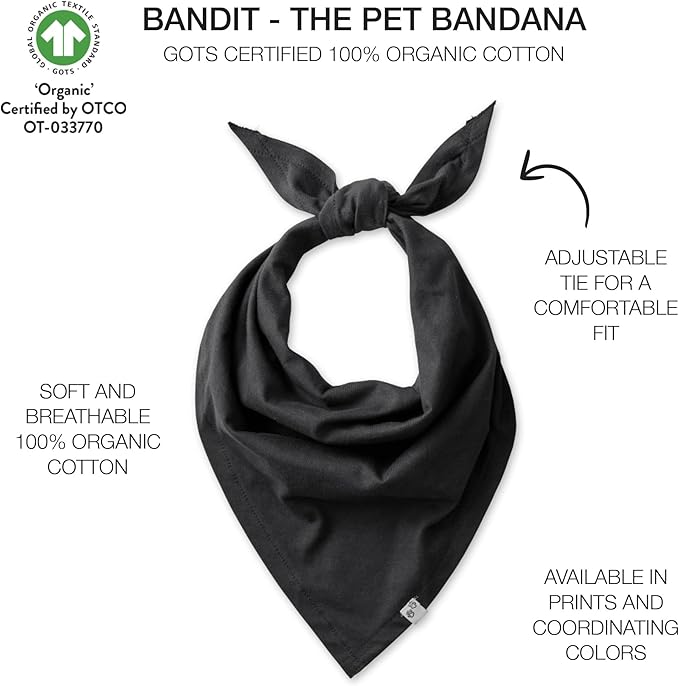 Pet Passion Bandit - THE PET Bandana 100% Organic Cotton Pet Bandanas Clothes for Small, Medium, Large Dogs, 2-Pack Spooky, X-Small/Small