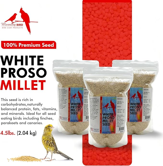 Morning Bird White Proso Millet 4.5 lbs (3-Pack, 1.5 lbs Each) Unhulled Natural Bird Seed – Supports Feather Growth & Balanced Nutrition – High Energy Seed - Ideal for Finches, Parakeets & Pet Birds