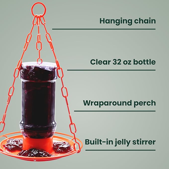 Perky-Pet Wild Oriole Jelly Bird Feeder - 32oz Capacity, Built-in Stirrer with Large Circular Feeding Tray, Wraparound Perch, Outdoor Garden Décor for Backyard Birding & Wildlife, 253