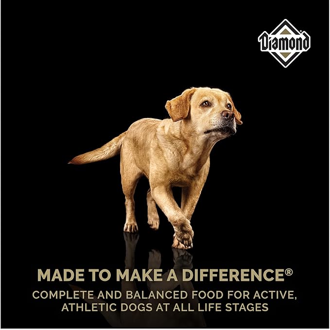 Diamond Premium All Life Stages Dry Dog Food 26/18 for Active, Athletic & Sporting Dogs 6lb Bag