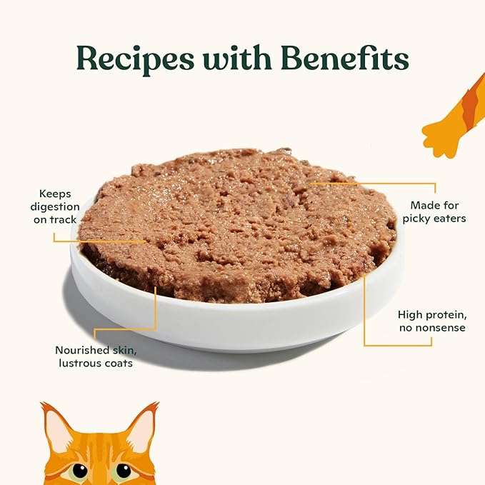 Made by Nacho Premium Wet Cat Food Grain-Free Pate Cans (Salmon & Sole - 6 Pack, 5.5 Ounce)
