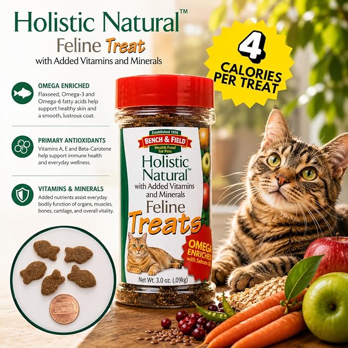Bench & Field Holistic Natural Healthy Kitty Cat Treats | Crunchy Fish-Shaped Bites | Delicious Seafood Flavored Snack, 3-Ounce (Pack of 6 Bottles)
