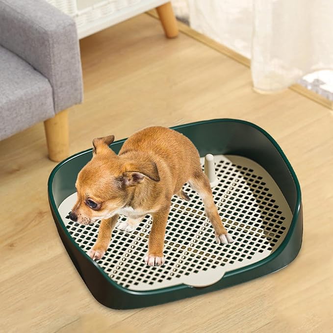 Pet Dog Toilet Puppy Training Potty Tray Portable for Cat Training Pad Holder with Protection Wall Litter Box Trainer Corner, Green L