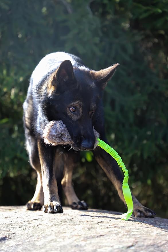 Dingo Faux Fur tug Toys for Dog with Bungee and Long Handle for Dog Training Agility Motivation Reward, Z30021