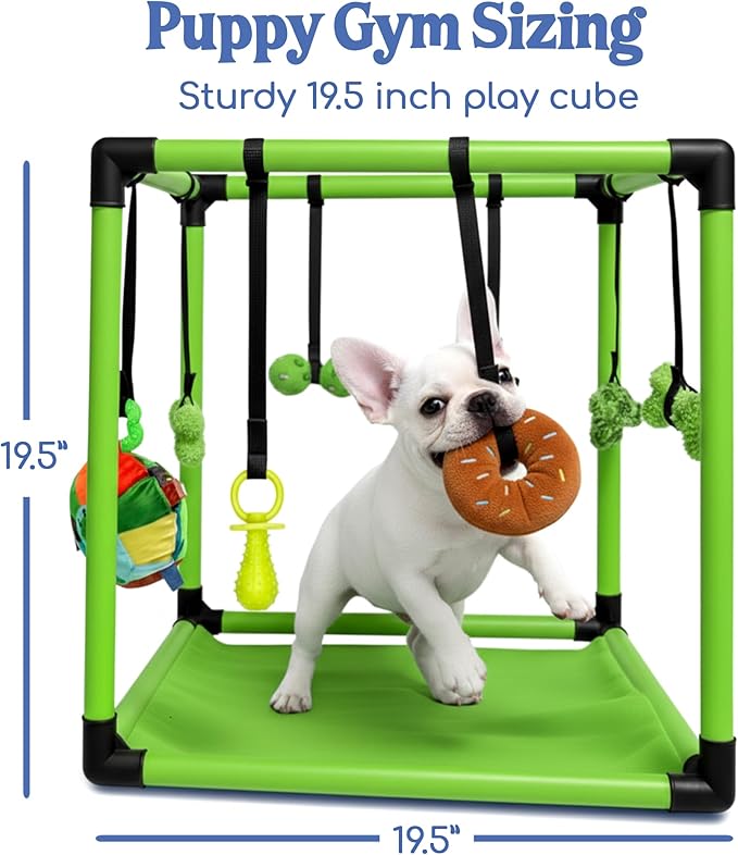 Race&Herd Puppy Play Gym, Dog Play Mat, 8 Bungee Straps Interactive Puppy Active Toys - Small Dog Jungle Gym 19.5" Frame with Playground Set Indoor Enrichment Activity Center (Green)