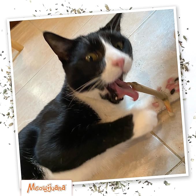 Meowijuana Catnip Rollies King Size | Hand Harvested and Rolled Dried Premium Ground Catnip | High Potency | Grown in North America | Feline and Cat Lover Approved