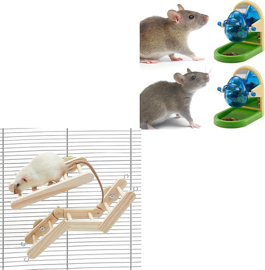 Rat Enrichment Bundle Interactive Puzzle Feeders with Adjustable Climbing Gym Set Includes 2 Foraging Toys and Flexible Wooden Ladder for Rats Mice Small Birds Cage Accessories