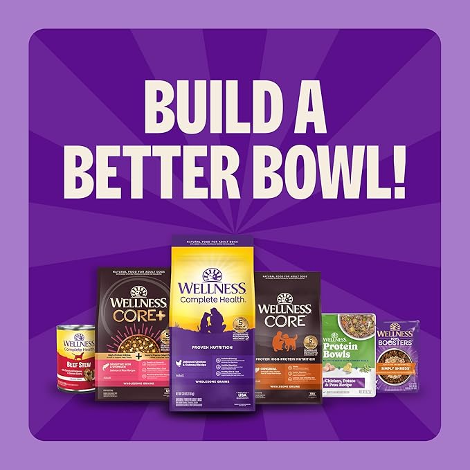 Wellness Complete Health Healthy Weight Small Breed Adult Dry Dog Food, Wholesome Grain Kibble, Natural, Turkey and Brown Rice Recipe, 4 lb Bag