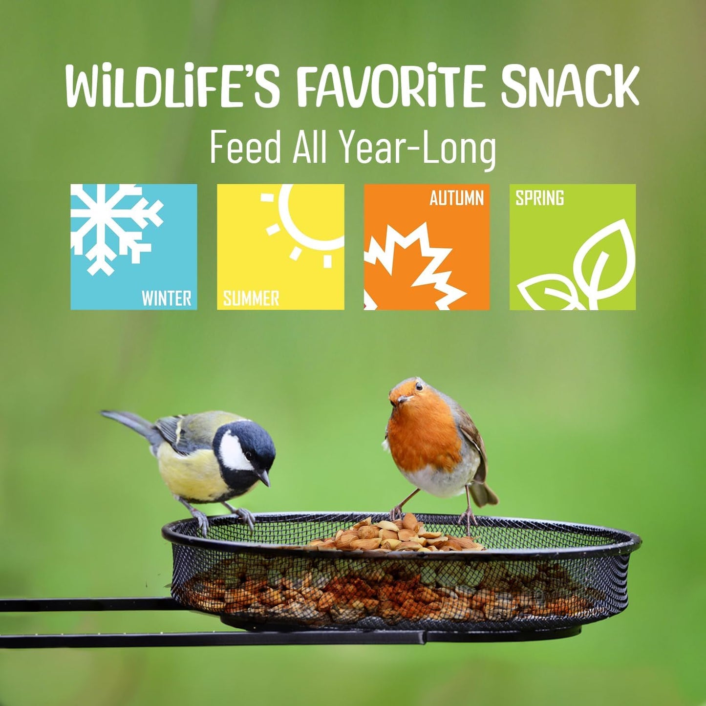 Premium Quality Raw Out of Shell Peanuts - 5 Pounds - Shelled Peanuts for Birds – Wildlife Quality - Food for Squirrels, Deer, Birds, and Other Wildlife Animals – Grown in The USA