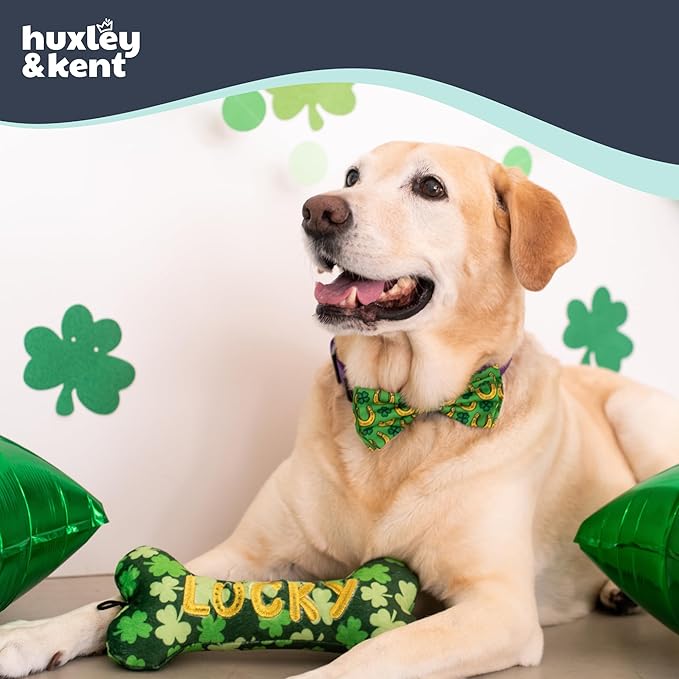 Huxley & Kent Funny Dog Toy w/Squeaker – St. Patrick's Day Power Plush Squeaky Dog Toys for Small, Medium & Large Dogs – Soft Stuffed Animal for Indoor Play & Fetch - Lucky Charm Bone, Small