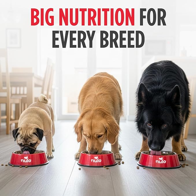 Nulo FreeStyle Adult Dry Dog Food - Turkey & Sweet Potato, Premium Grain Free Dog Food with Probiotics for Healthy Gut, Skin and Coat, Natural High Protein Kibble for Small, Medium, Large Breeds, 6lb