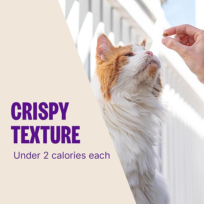 Wellness Kittles Crunchy Cat Treats, All Lifestages, Kitten to Senior, Natural, Grain Free, Chicken and Cranberry Flavor, 2 oz Bag