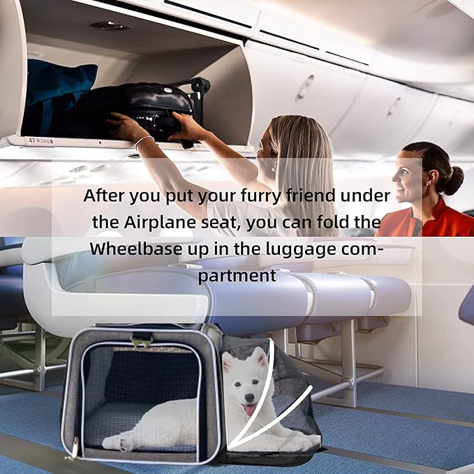 Ruff Life 101 Airline Approved Expandable Premium Pet Carrier on Wheels- Two Sided Expandable Rolling Carrier- Designed for Dogs & Cats- Extra Spacious Soft Lined Carrier! (Blue)