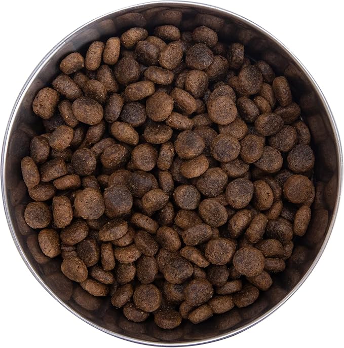 Health Extension Grain Free Buffalo & Whitefish Dry Dog Food - 30+ Superfoods and Probiotics for All Life Stages, 4 lb Bag