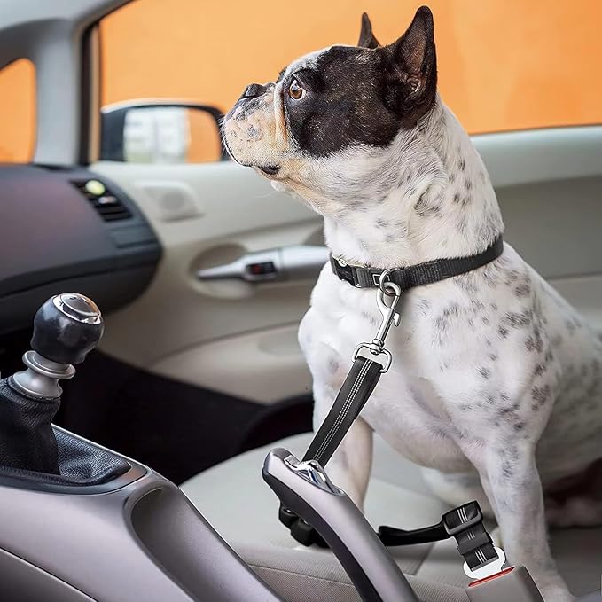 PETSPLAZA Dog Seat Belt, Retractable Dog Car Harness Adjustable Dog Seat Belt for Vehicle Nylon Pet Safety Seat Belts Heavy Duty & Elastic (Gray)